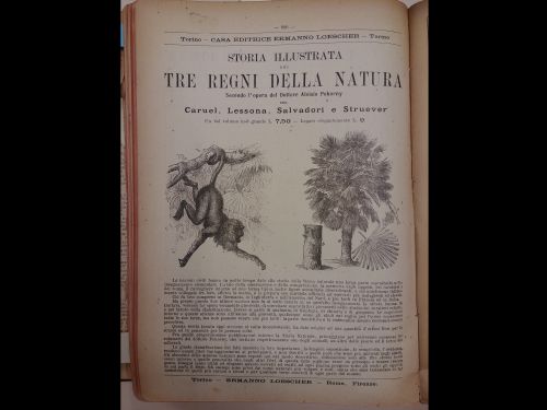 Novembre 1889: la pubblicità di Storia illustrata dei tre regni della natura pubblicata dalla casa editrice Ermanno Loescher.
